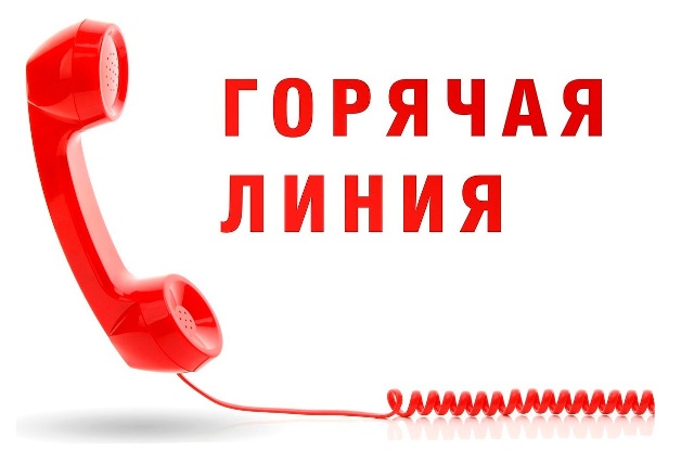 8-8452-49-93-14 В Министерстве образования Саратовской области открыта «горячая линия» по вопросам документационной нагрузки на педагогических работников.